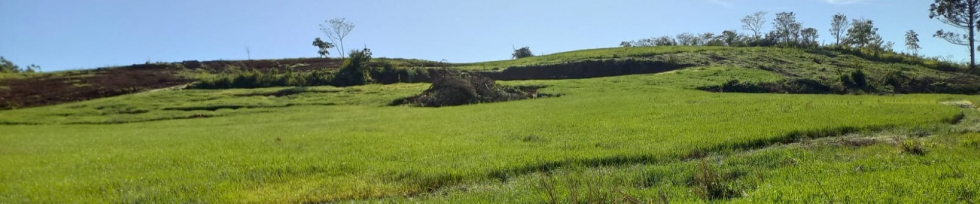 Terra a Venda com 3 alqueires grande oportunidade