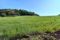 Terra a Venda com 3 alqueires grande oportunidade