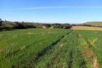 Terra a Venda com 3 alqueires grande oportunidade