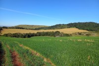 Terra a Venda com 3 alqueires grande oportunidade